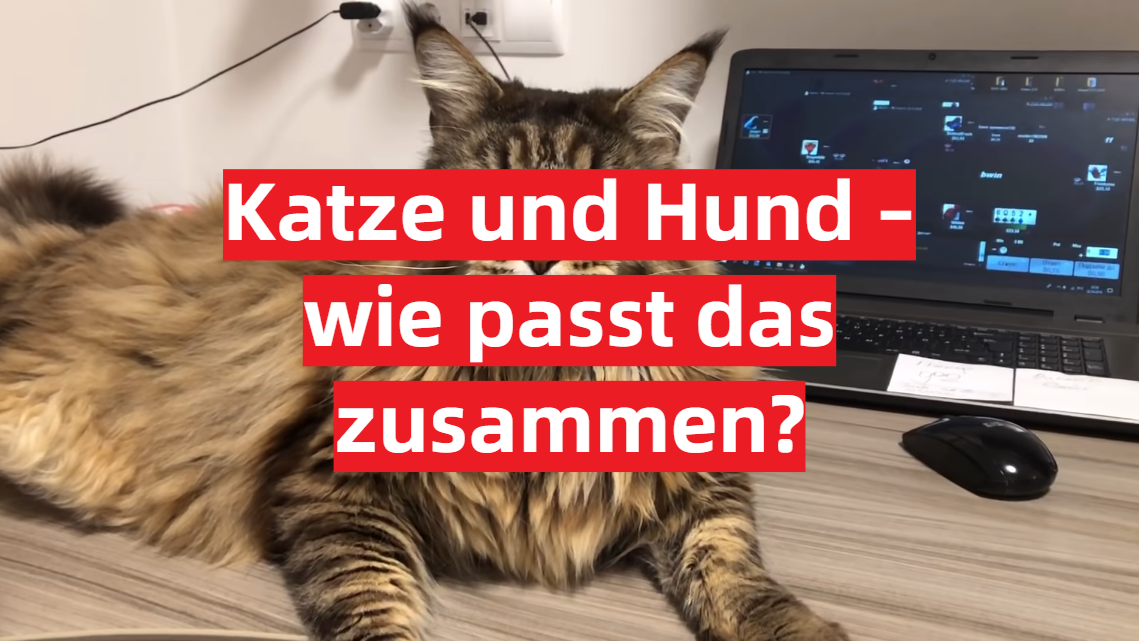 Bekanntschaft zu schließen